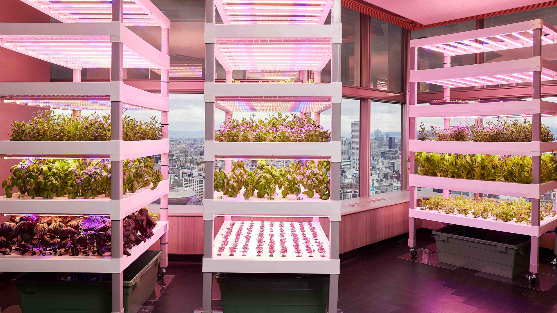 スイスホテル南海大阪 - 「The sky farm」