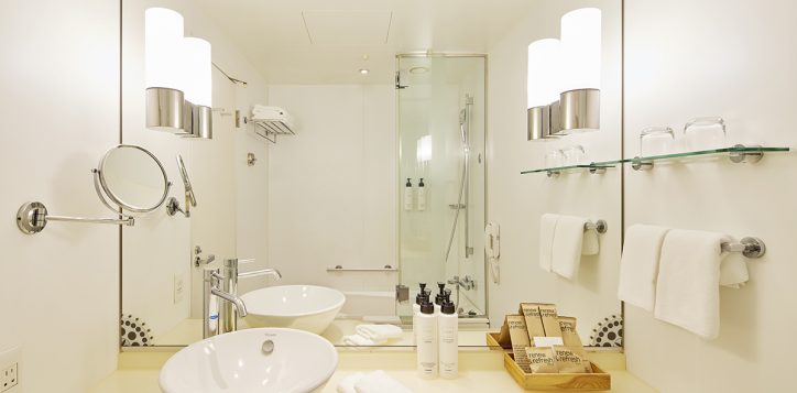kgd_swiss_advantage_king_bathroom-2