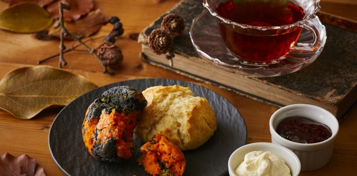 the_lounge_monsters_autumn_party_afternoon_tea_scone-2
