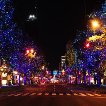 midosuji-illumination-stay-offer-2025