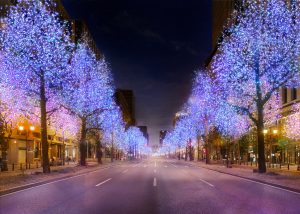 midosuji-illumination-festive-package