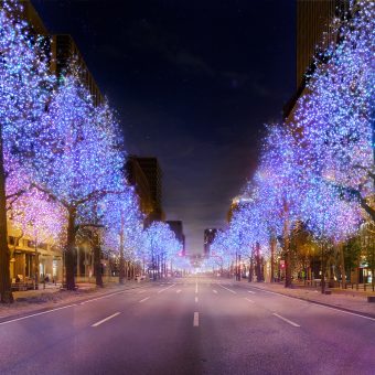 midosuji-illumination-festive-package